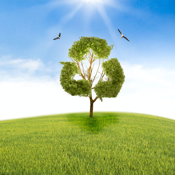 Environment Focused Waste Management