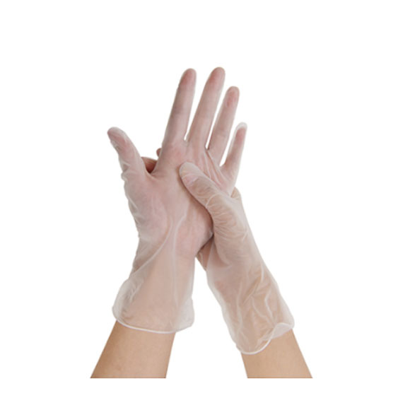 Non-Sterile PVC Examination Gloves