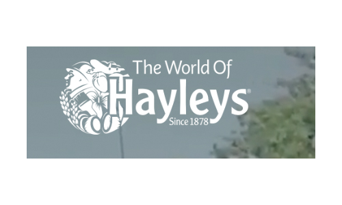 Hayleys logo