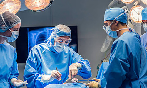 Medical Healthcare 2